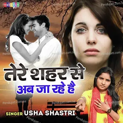 Tere Shehar Se Ab Ja Rahe Hai - Usha Shastri album cover 