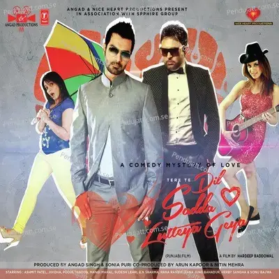 Dil Sadda Lutteya Geya - Willi Sadhak album cover 