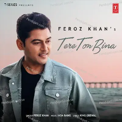 Tere Ton Bina - Feroz Khan album cover 