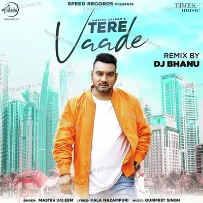 Tere Vaade Remix By Dj Bhanu - Master Saleem album cover 