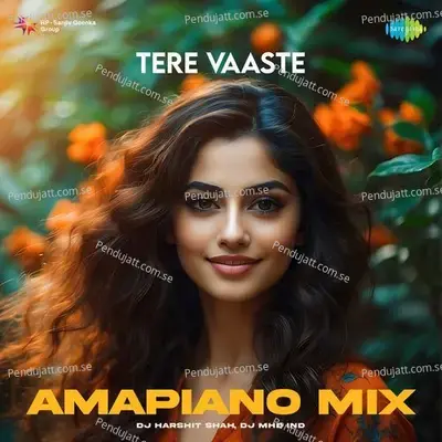 Tere Vaaste - Amapiano Mix - DJ Harshit Shah album cover 