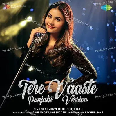 Tere Vaaste Punjabi Version - Noor Chahal - Noor Chahal album cover 