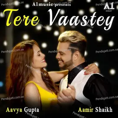 Tere Vaastey - Aamir Shaikh album cover 