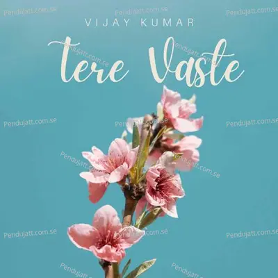 Tere Vaste - Vijay Kumar album cover 