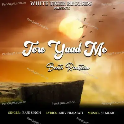 Tere Yaad Me Beete Raatein - Raju Singh album cover 