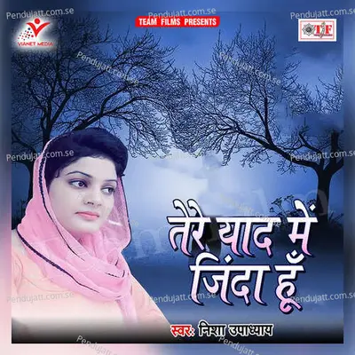 Tere Yaad Me Zinda Hu - Nisha Upadhyay album cover 