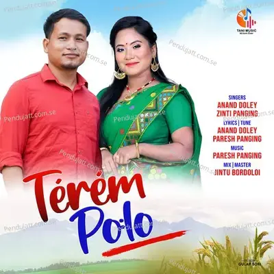 Terem Polo - Anand Doley album cover 