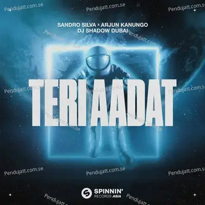 Teri Aadat - Sandro Silva album cover 