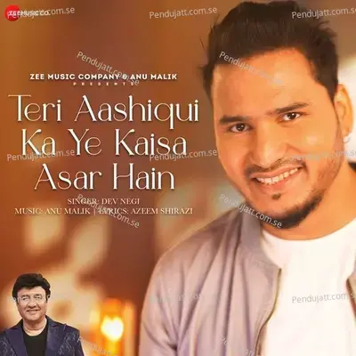 Teri Aashiqui Ka Ye Kaisa Asar Hain - Anu Malik album cover 