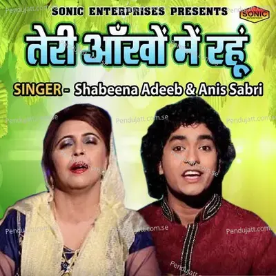 Teri Ankhon Main Rahun - Sabeena Adeeb album cover 