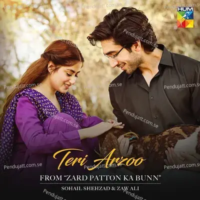 Teri Arzoo - Sohail Shehzad album cover 