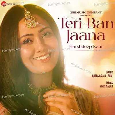 Teri Ban Jaana - Zain - Sam album cover 