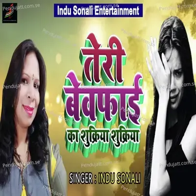 Teri Bewafai Ka Shukariya Shukariya - Indu Sonali album cover 