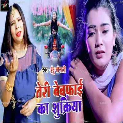 Teri Bewafai Ka Sukriya - Indu Sonali album cover 