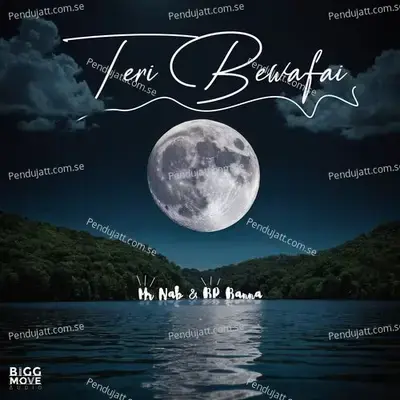 Teri Bewafai - Mr Nab album cover 