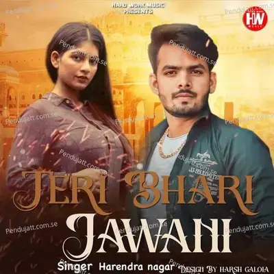 Teri Bhari Jawani - Harendra Nagar album cover 