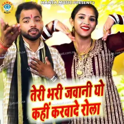 Teri Bhari Jawani Yo Kahi Karwade Rola - Sunil Chouhan album cover 