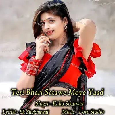 Teri Bhari Satawe Moye Yaad - Kallu Sikarwar album cover 