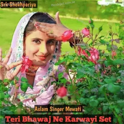 Teri Bhawaj Ne Karwayi Set - Aslam Singer Mewati album cover 