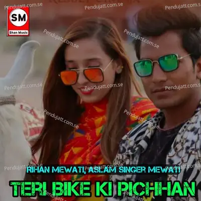 Teri Bike Ki Pichhan - Rihan Mewati album cover 