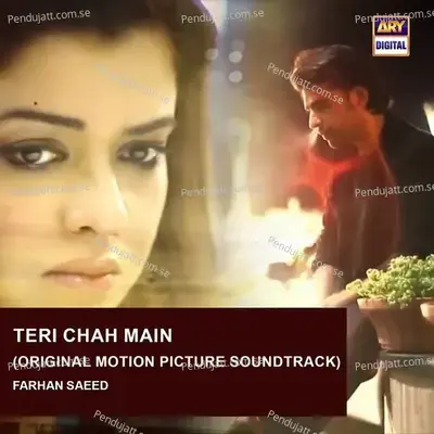 Teri Chah Mein - Farhan Saeed album cover 