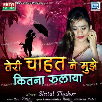 Teri Chahat Ne Mujhe Kitna Rulaya - Shital Thakor