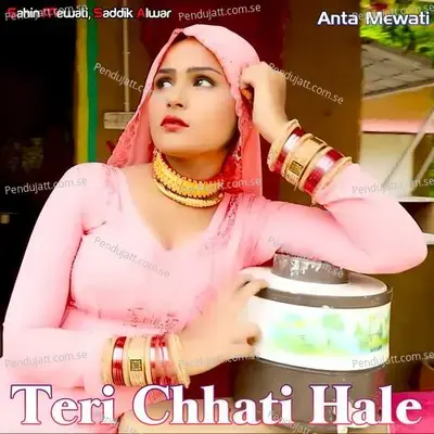 Teri Chhati Hale - Sahin Mewati album cover 