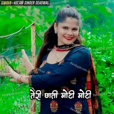 Teri Chhati Moti Moti - Aslam Singer Deadwal album cover 