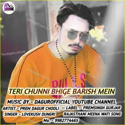 Teri Chunni Bhige Barish Mein - PREM DAGUR CHOOLI album cover 