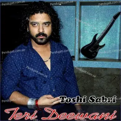 Teri Deewani - Toshi Sabri album cover 