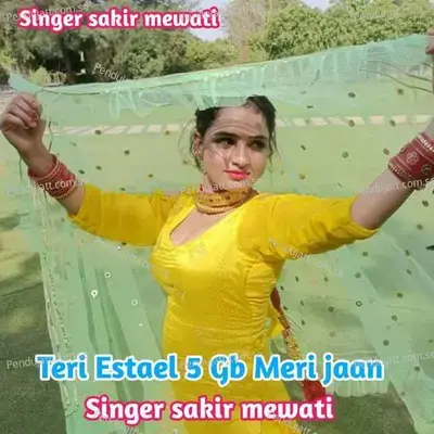 Teri Estael 5 Gb Meri Jaan - Sakir Singer Mewati album cover 