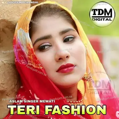 Teri Fashion - Tahseem Dehangal album cover 