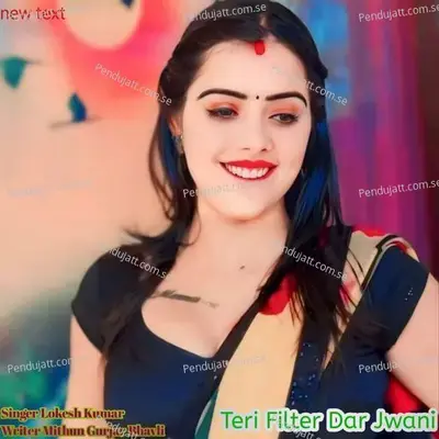 Teri Filter Dar Jwani - Lokesh Kumar album cover 