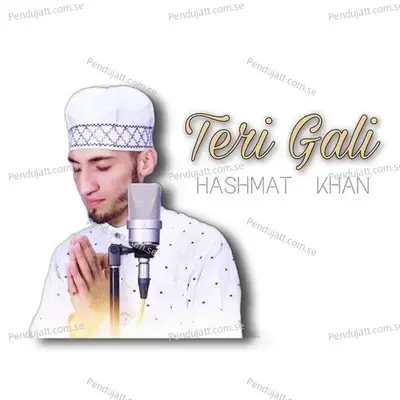 Teri Gali - Hashmat Khan album cover 