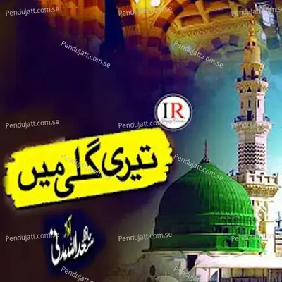 Teri Gali Main - Hafiz Saadullah Madni album cover 