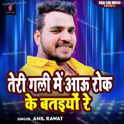 Teri Gali Me Aawu Rok Ke Batiyo Re - Anil Rawat album cover 