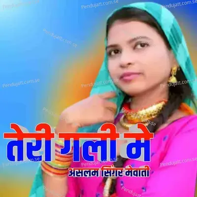 Teri Gali Me - Aslam Singer Mewati album cover 