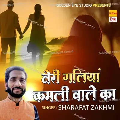 Teri Galiyan Chhod Jayenge - Sarafat Zakhmi album cover 