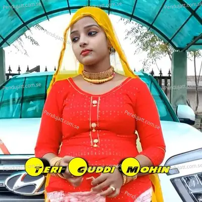 Teri Guddi Mohin - Aslam Singer Mewati album cover 
