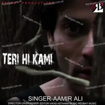 Teri Hi Kami - Aamir Ali album cover 