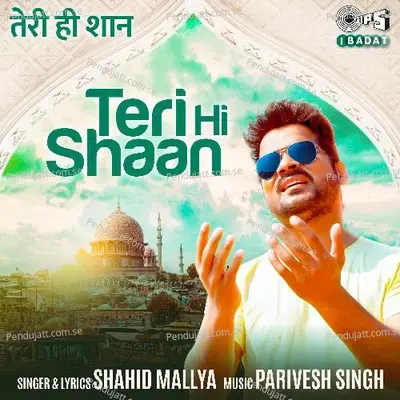 Teri Hi Shaan - Shahid Mallya album cover 