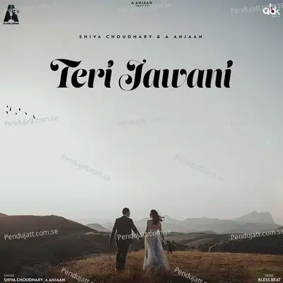 Teri Jawani - A Anjaan album cover 