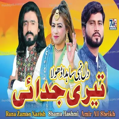Teri Judai - Nazish Zaman Amir Sheikh album cover 