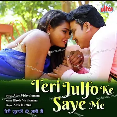 Teri Julfo Ke Saye Me - Alok Kumar album cover 