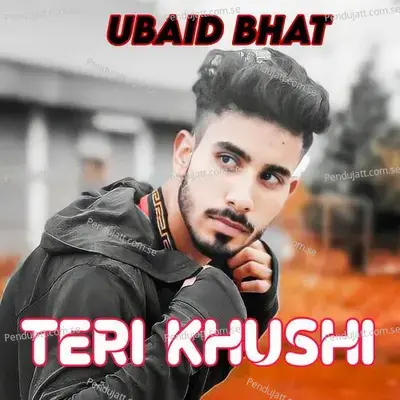 Teri Khushi - Ubaid Bhat album cover 