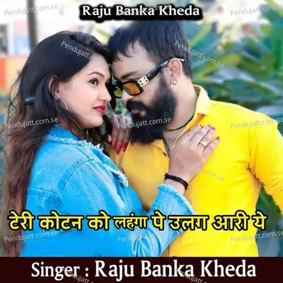 Teri Kotan Ko Langha Pe Ulag Aari Ye - Raju Banka Kheda album cover 