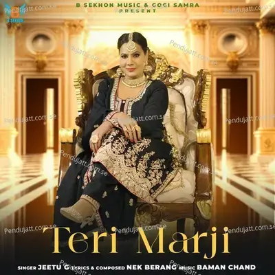 Teri Marji - Jeetu G album cover 