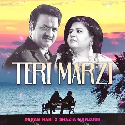 Teri Marzi - Akram Rahi album cover 