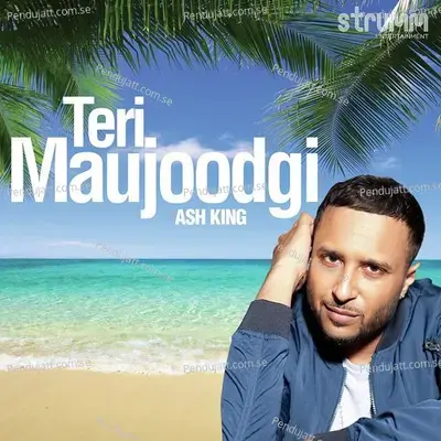 Teri Maujoodgi - Ash King
