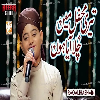 Teri Mehfil Main Chala Aaya Hun - Rao Ali Hasnain album cover 